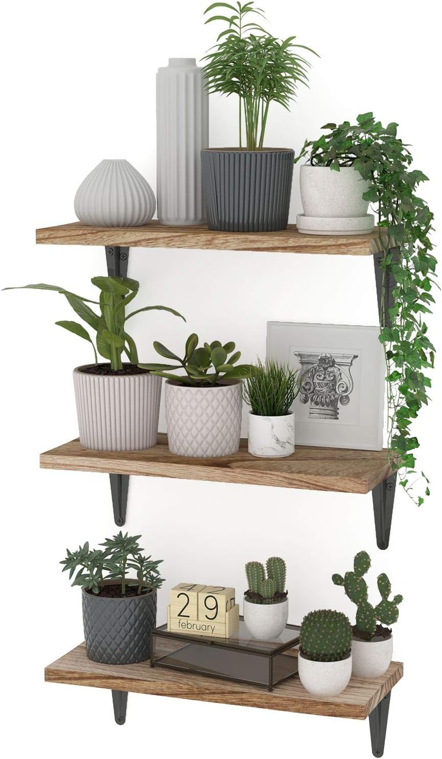Wallniture Arras Rustic Floating Shelves Set of 3