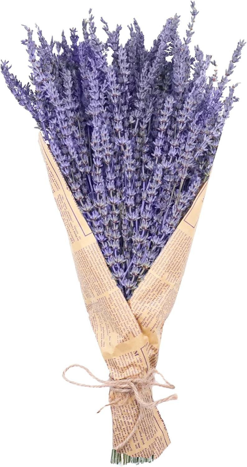 Uieke Dried Lavender Bundles 150 Stems 15-17 Inch