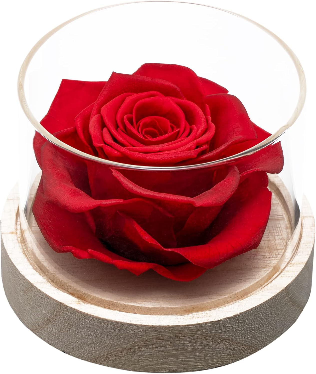 MODCON Real Fragrance Roses Last 4 Months Gift for Valentines Day