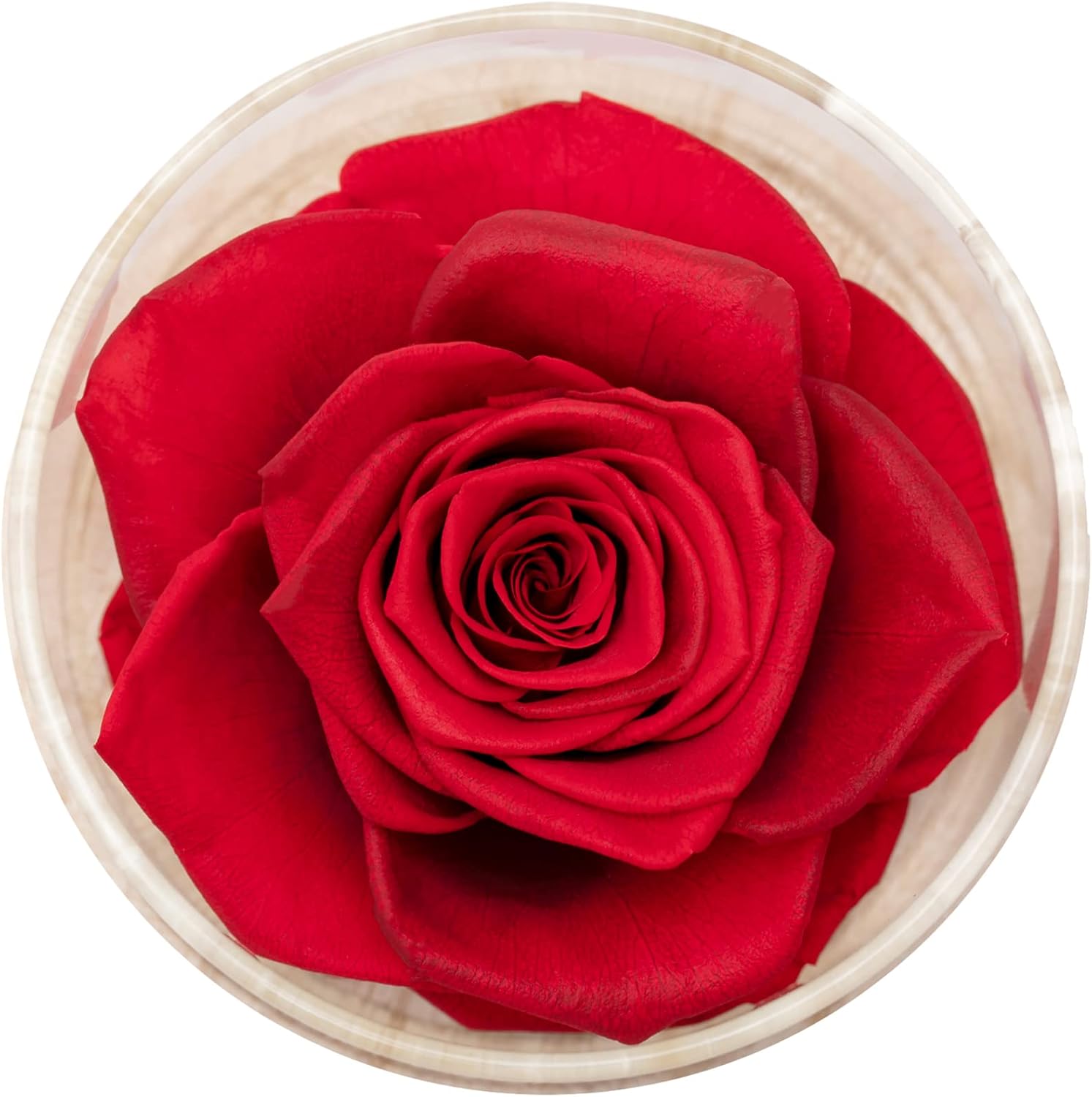 MODCON Real Fragrance Roses Last 4 Months Gift for Valentines Day