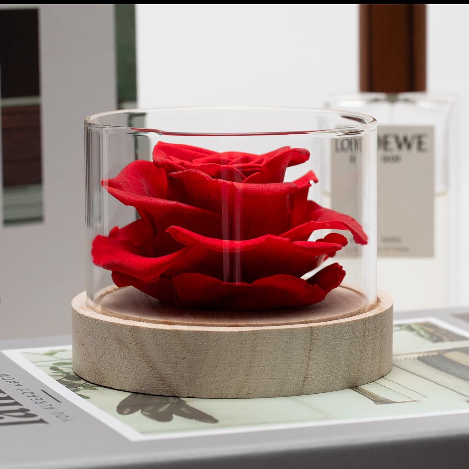 MODCON Real Fragrance Roses Last 4 Months Gift for Valentines Day