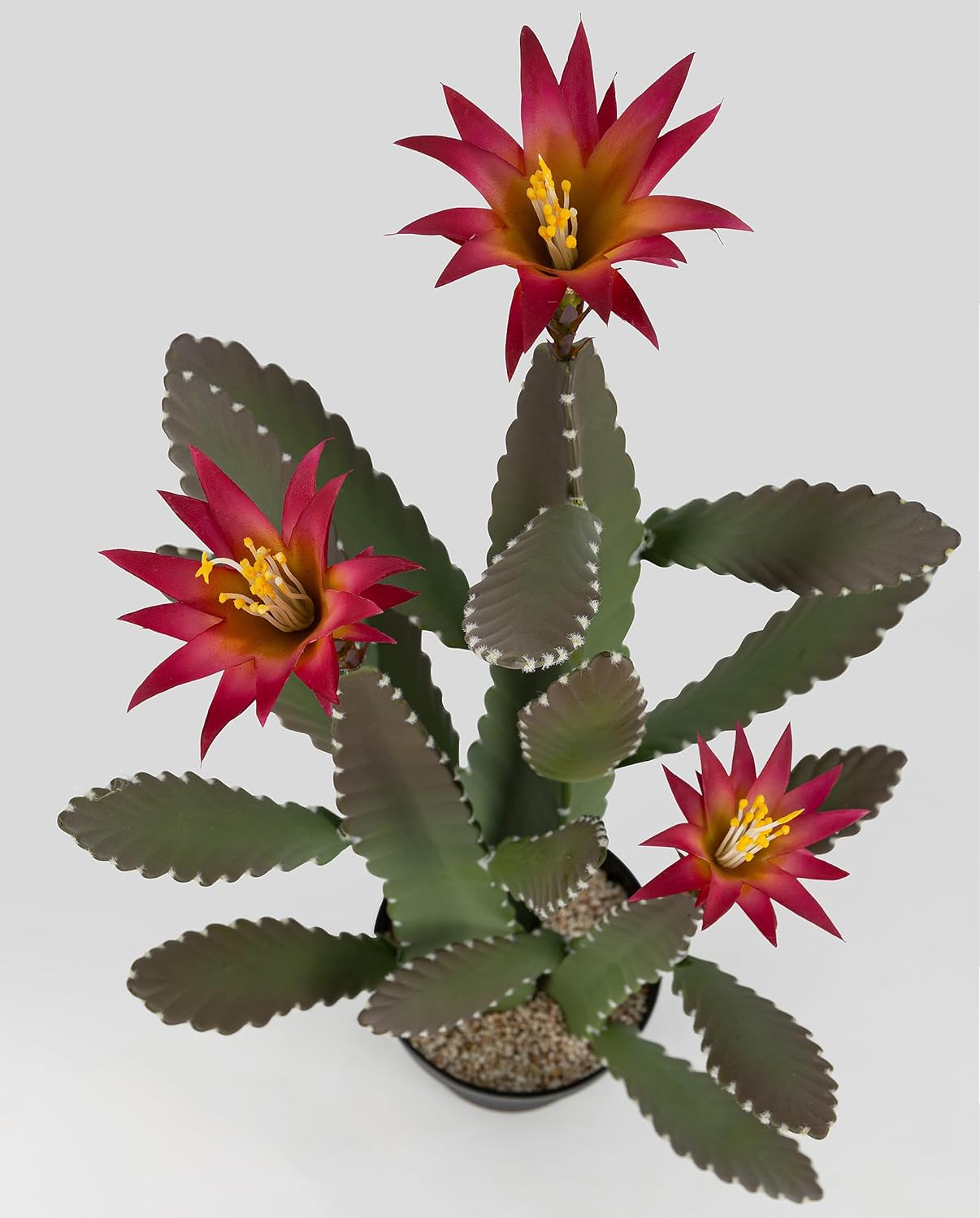 33 Inch Artificial Cactus with Magenta Flowers in Pot