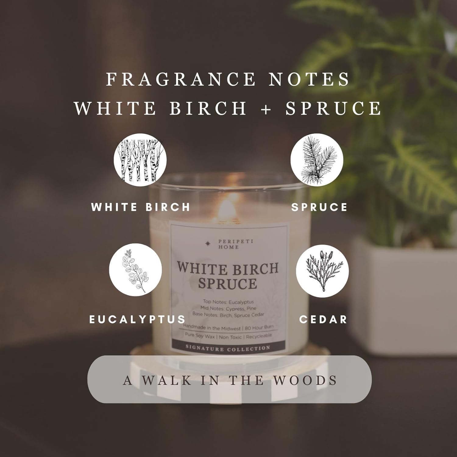 PERIPETI Home White Birch Spruce Scented Candle 1