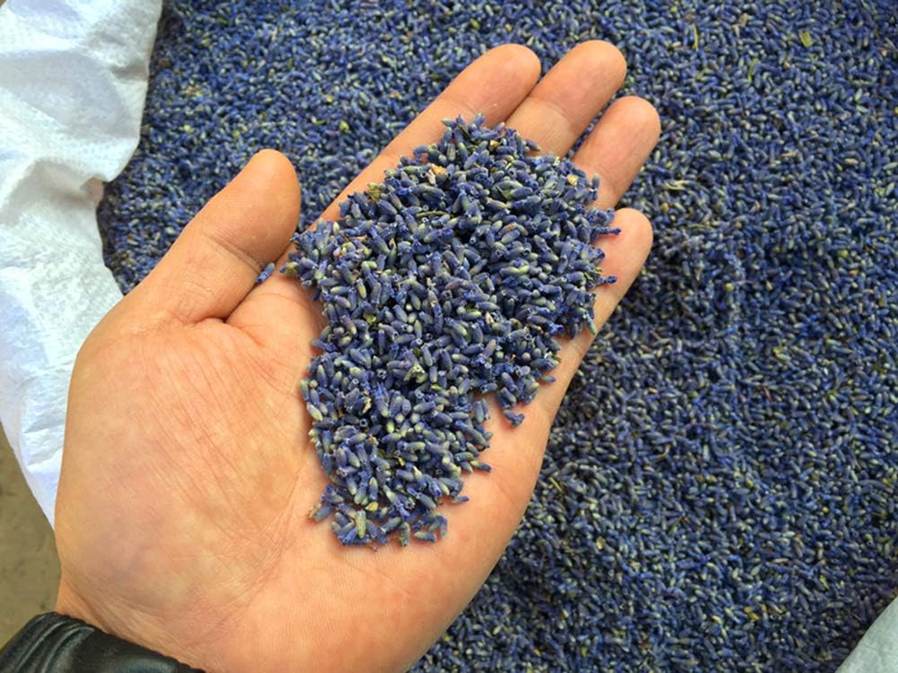 TooGet Fragrant Lavender Buds Natural Dried Flowers 2 Pound