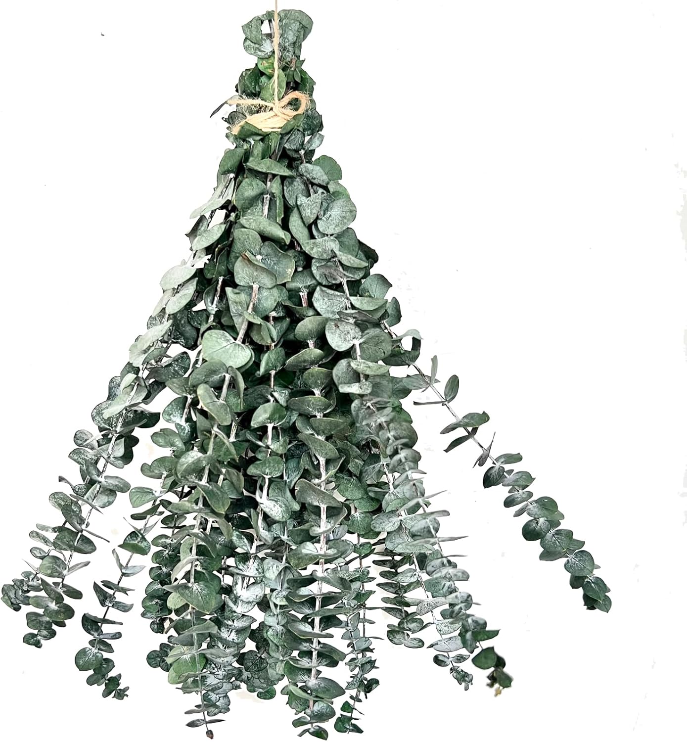 20 PCS Dried Eucalyptus Shower Bundle