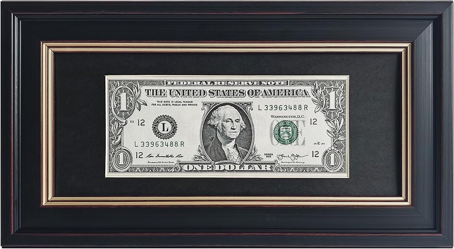 Dollar Bill Frame with Black Mat or Display 4x9 Picture Without Mat