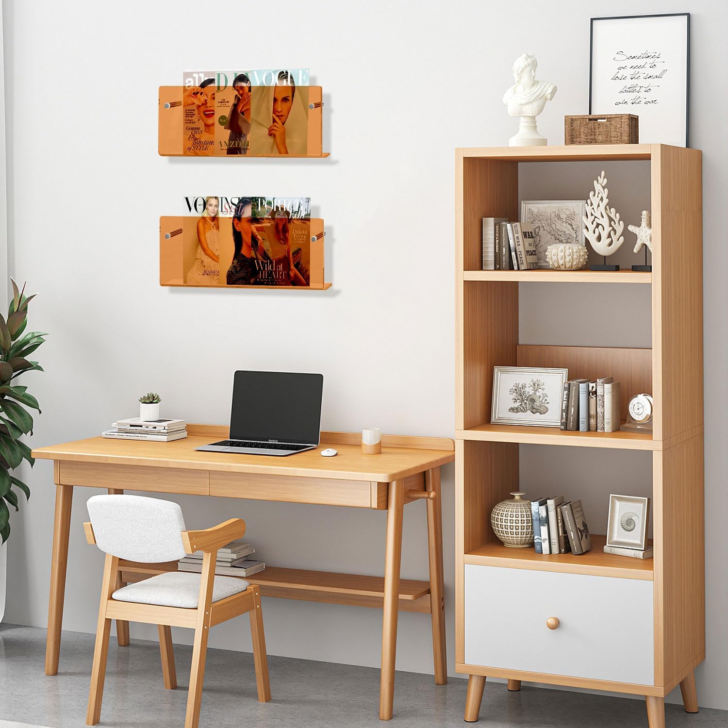 2 Pack Acrylic Magazine Holder with Angled Base