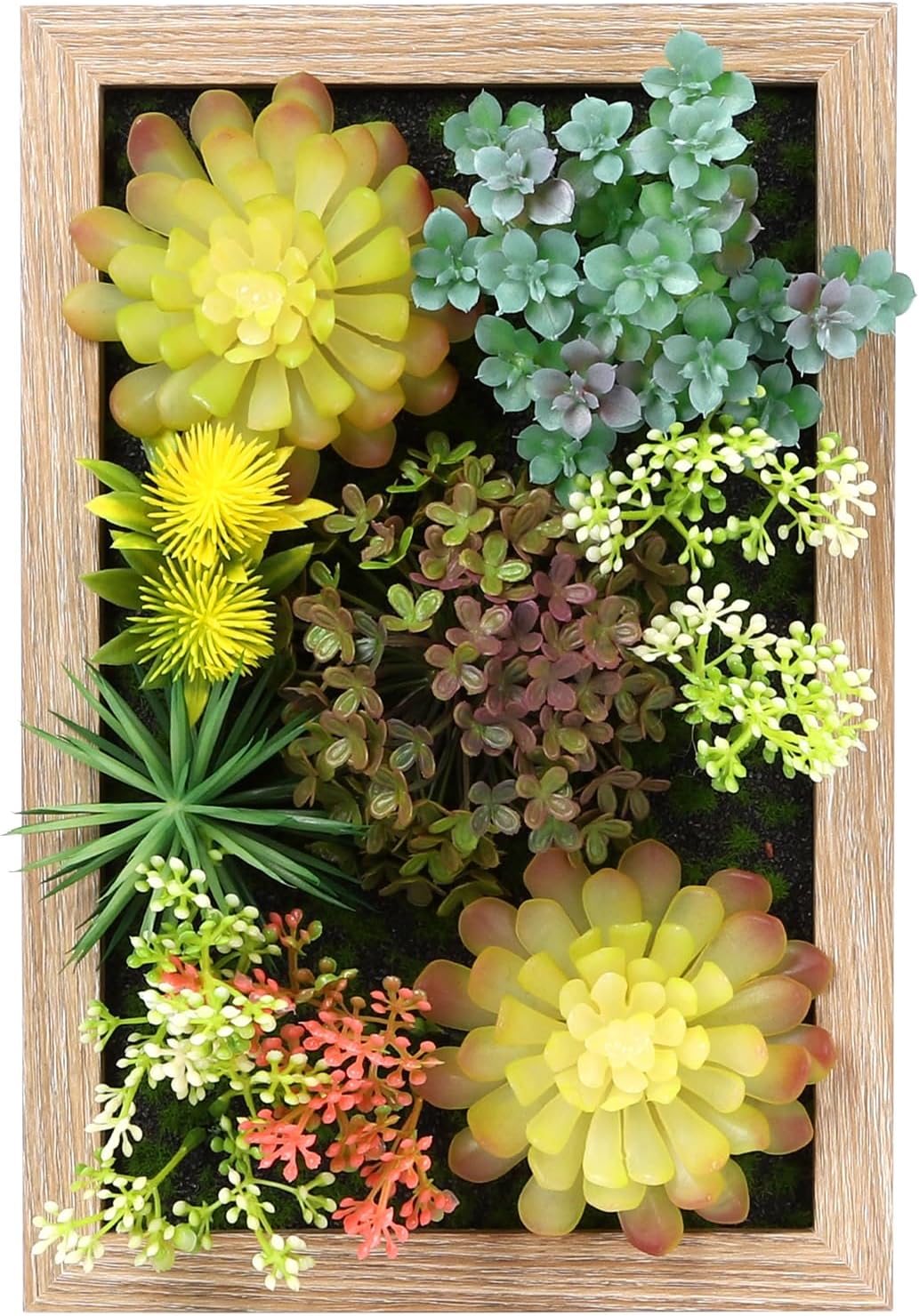 3D Artificial Succulent Floral Frame for Desk and Wall Decor