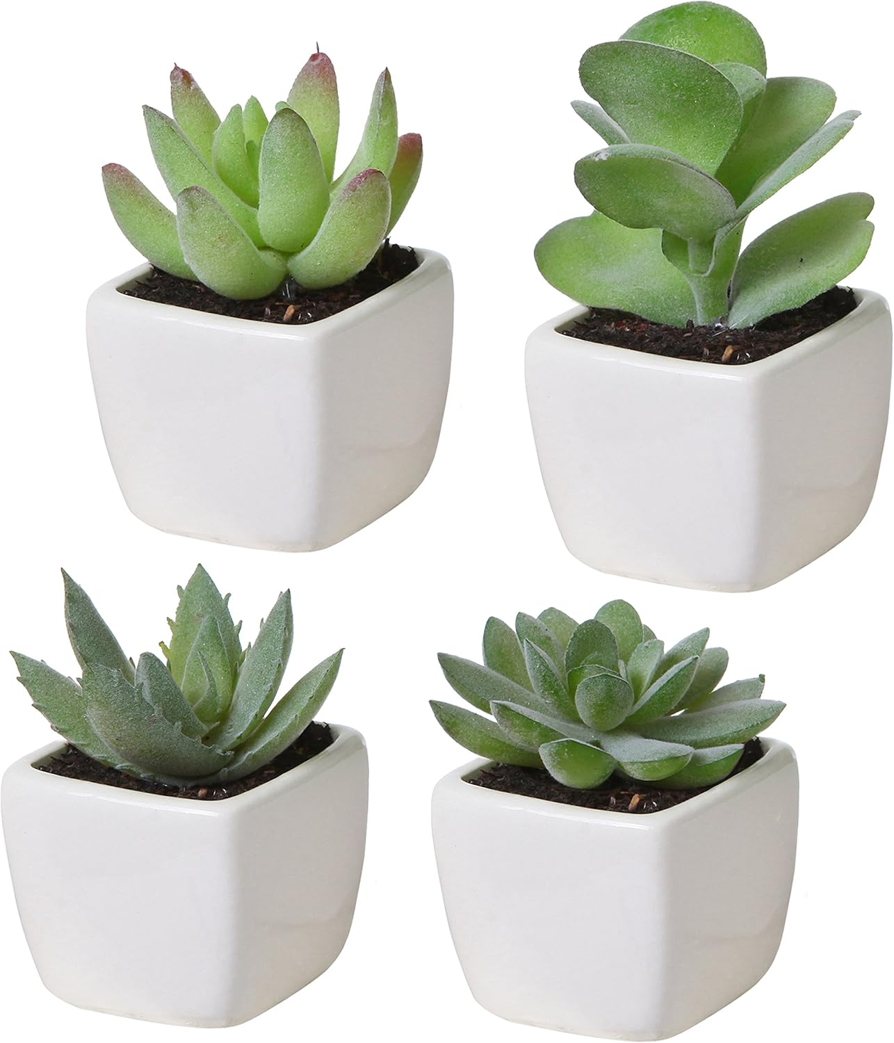 MyGift Set of 4 Mini Assorted Artificial Succulent Plants in White Ceramic Pots