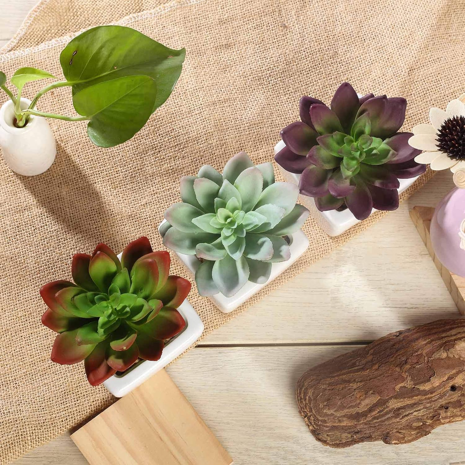 Balsa Circle Artificial Echeveria Plants Set of 3