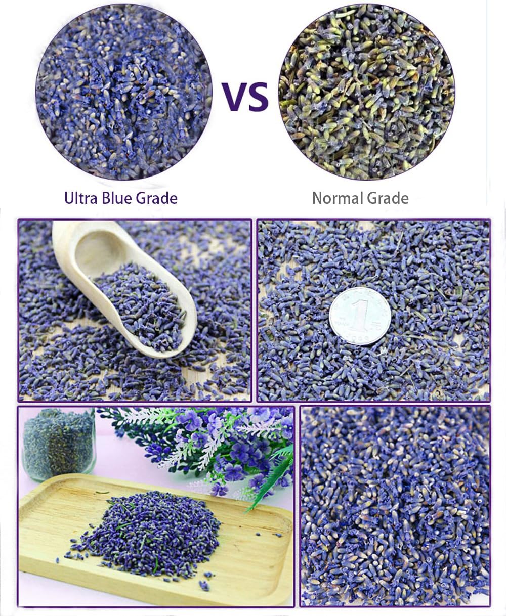 TooGet Fragrant Lavender Buds Natural Dried Flowers 2 Pound