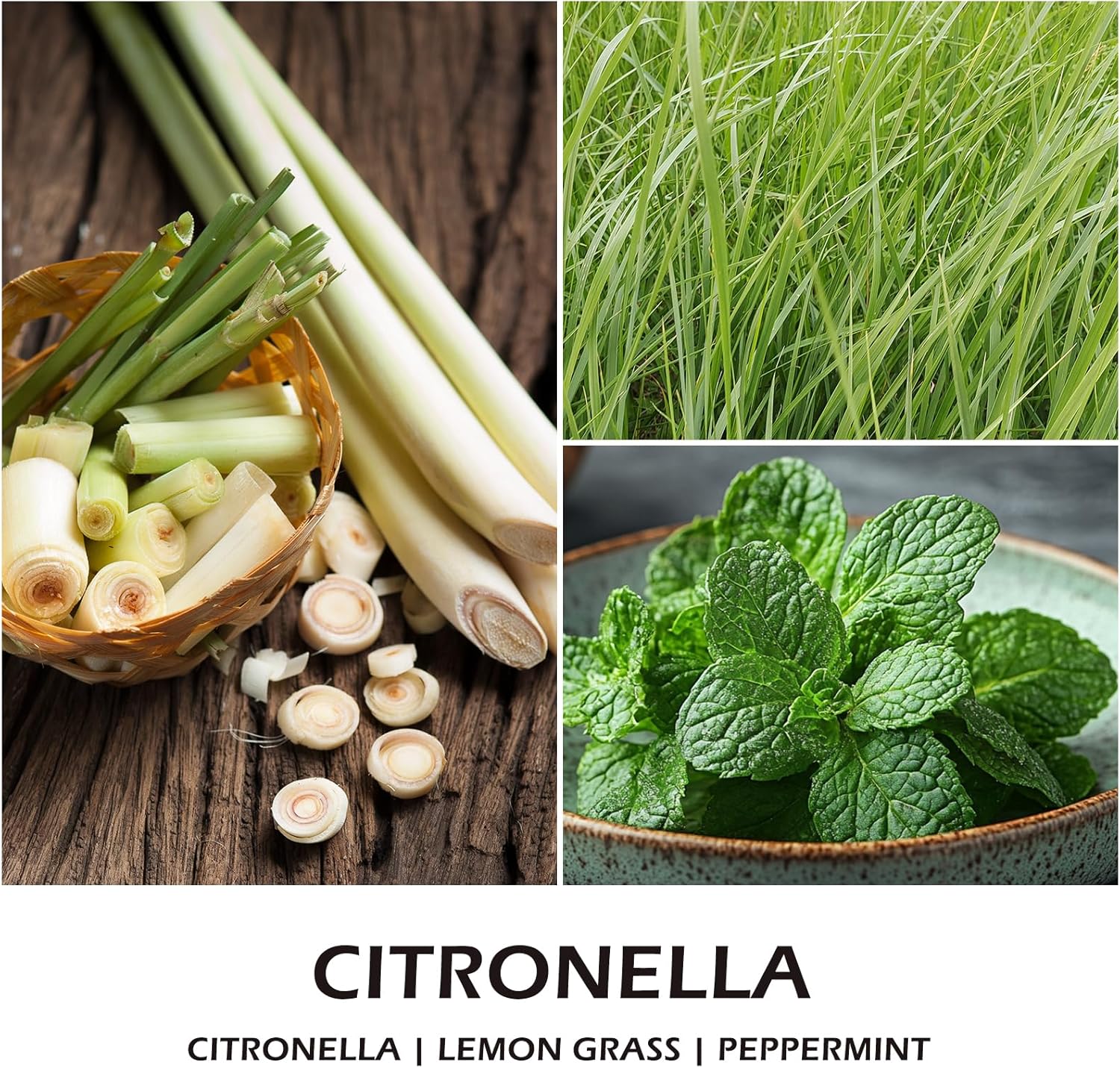 Citronella Scented Soy Jar Candle 7oz for Outdoor and Home Use