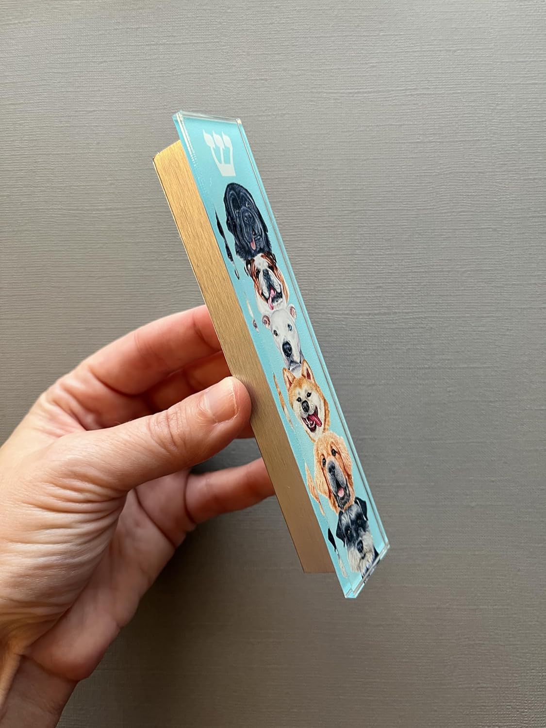 Dog Mezuzah Scroll Case Acrylic Aluminum Waterproof