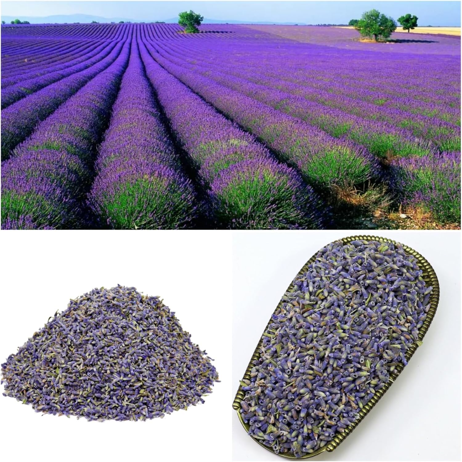 100 Natural Dried Lavender Buds 7oz for Crafts and Decor