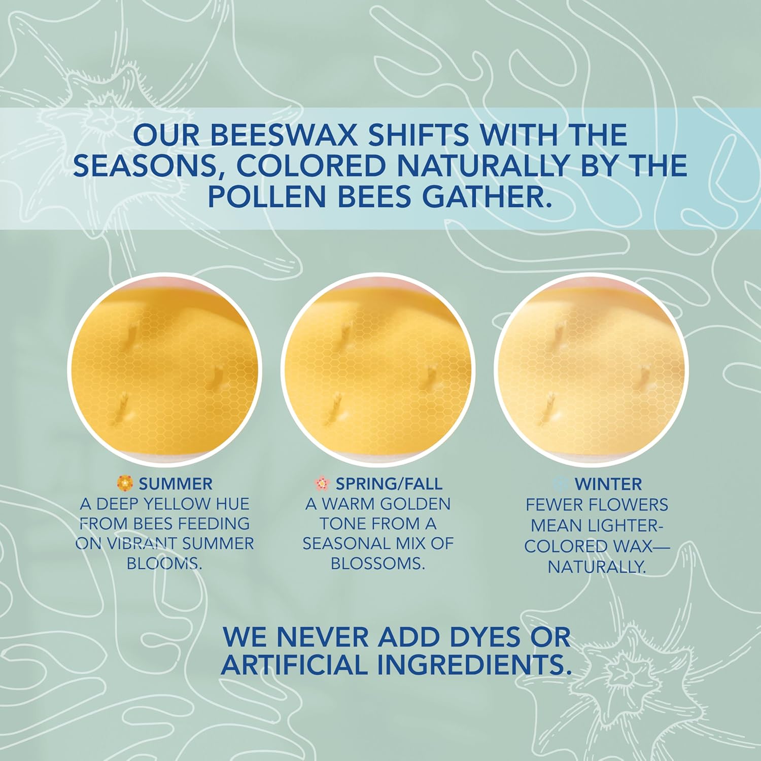 Coastal Breeze Yuzu Sea Salt Beeswax Candle 15 oz