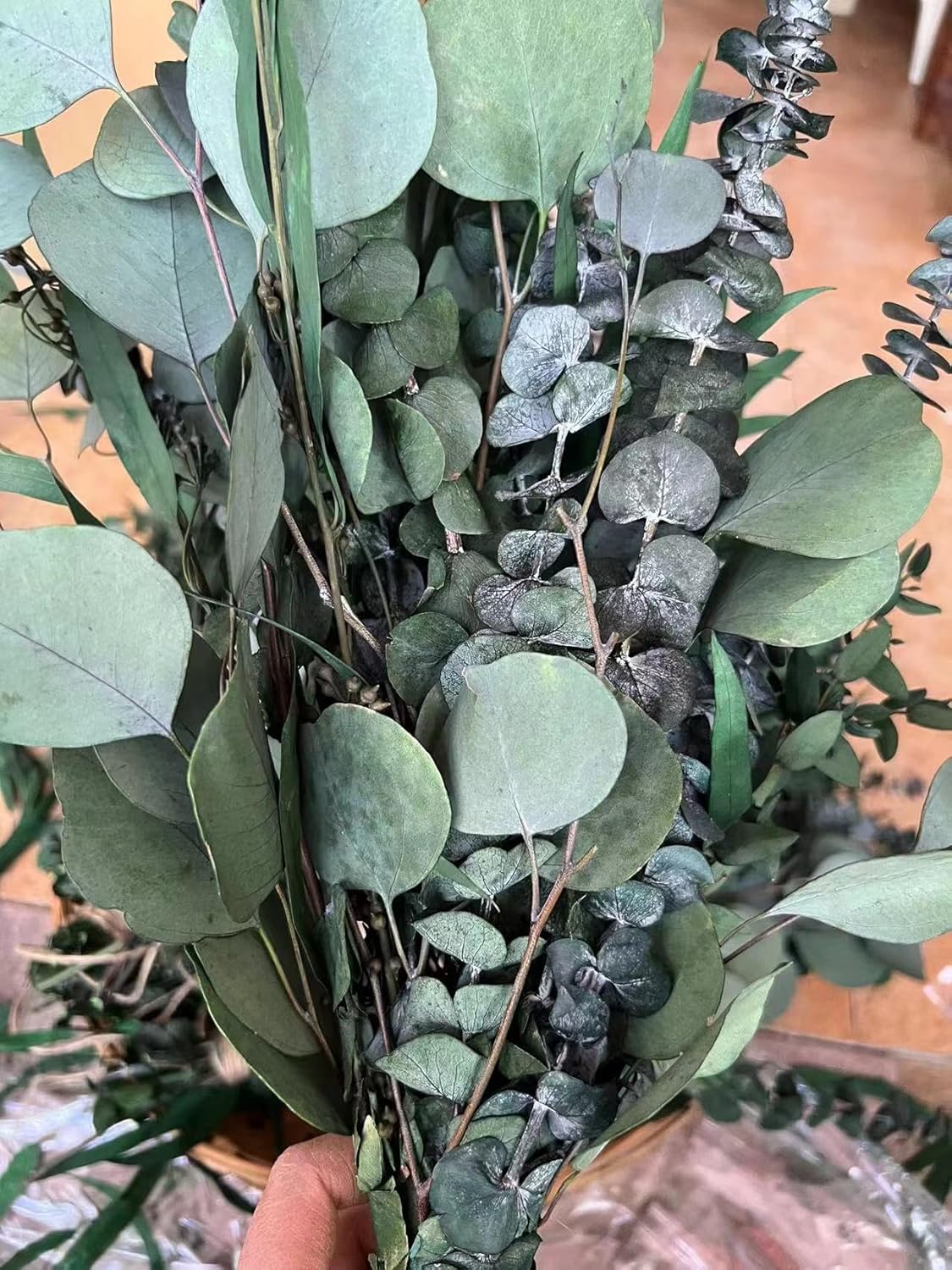 22 PCS Preserved Eucalyptus Shower Plants Bundle