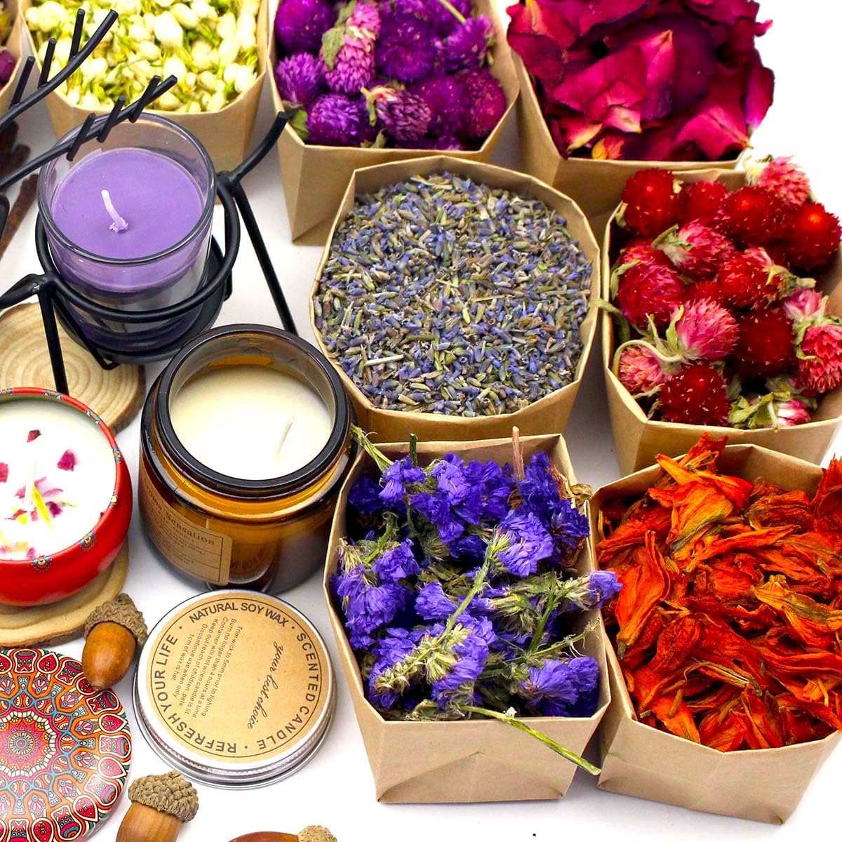 50 Pieces Dried Flower Set for Crafts and Decor