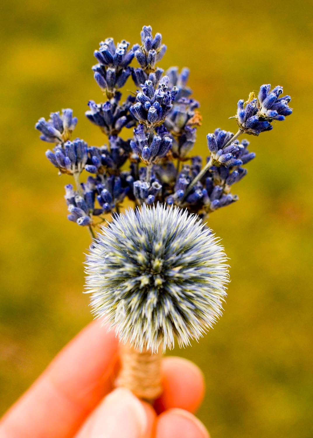 3 oz Bunch of Dried English Lavender for Home Dcor and Crafting