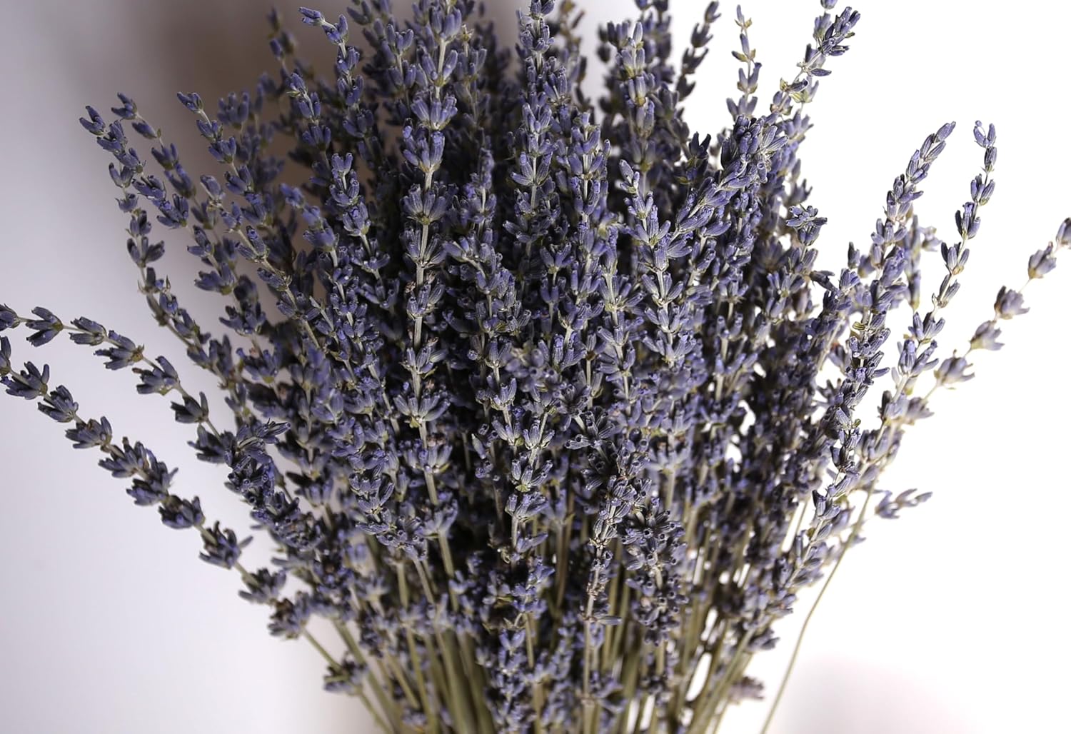 Dried Lavender Bouquet 4 Bunches 15-17 Inch Aromatherapy Decor