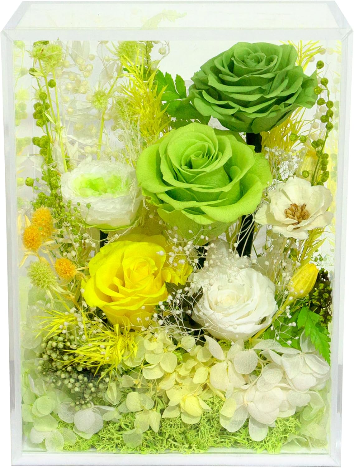 Valley of Rain Forest Preserved Rose Bush for Lasting Beauty