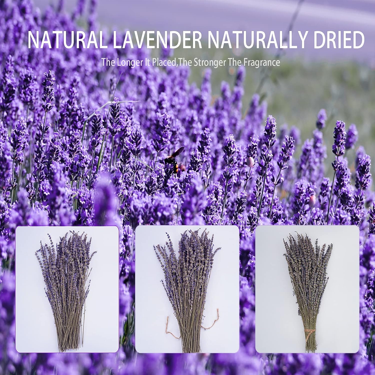 Uieke Dried Lavender Bundles 150 Stems 15-17 Inch