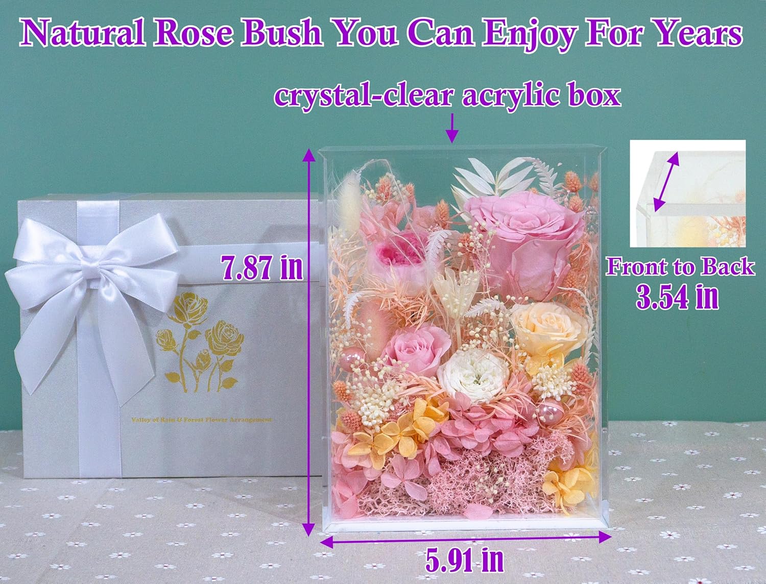 Valley of Rain Forest Preserved Rose Bush for Love and Home Decor