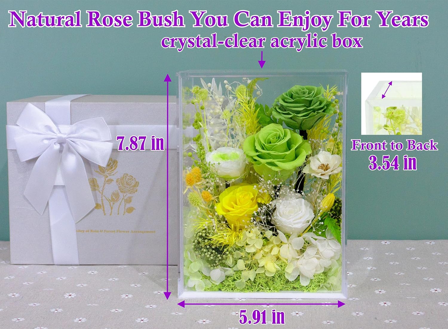 Valley of Rain Forest Preserved Rose Bush for Lasting Beauty